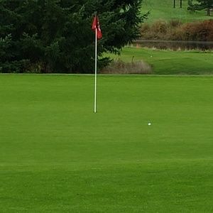 Meet your Posher, Thien